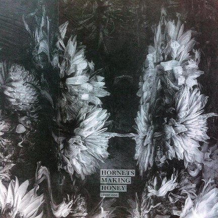 11230985_10153661453537147_2410366430121772606_o